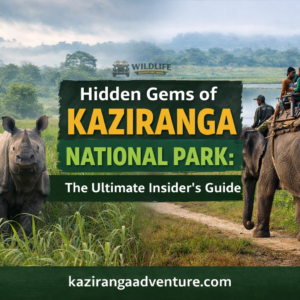 Hidden Gems of Kaziranga National Park