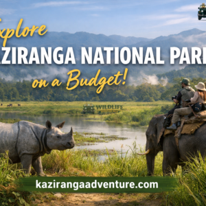 Explore Kaziranga National Park on a Budget