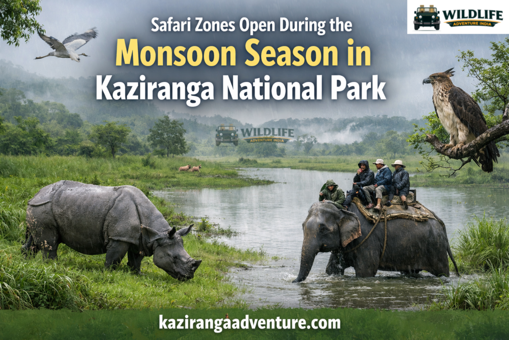 Safari Zones Open During the Monsoon Season in Kaziranga National Park