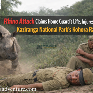Rhino Attack Claims Home Guard’s Life