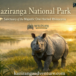 Sanctuary of the Majestic One-Horned Rhinoceros