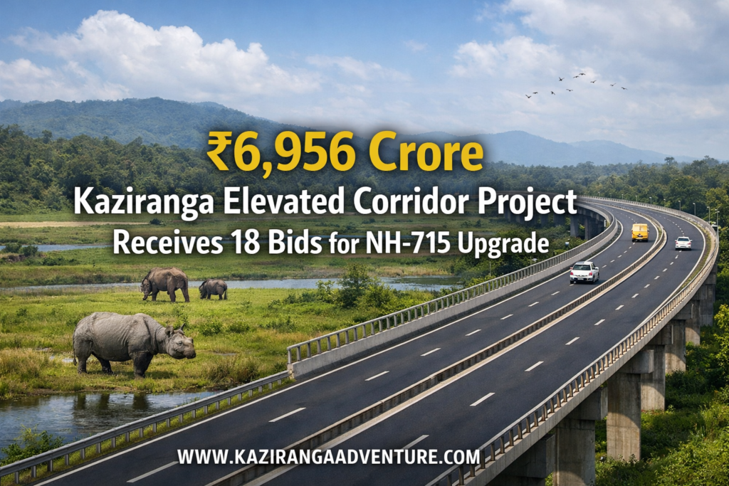 Kaziranga Elevated Corridor Project