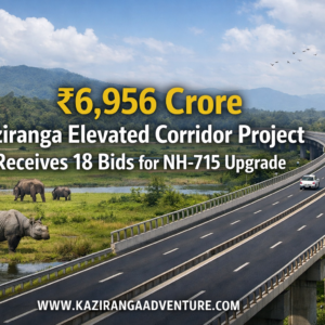 Kaziranga Elevated Corridor Project