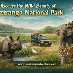 Wild Beauty of Kaziranga