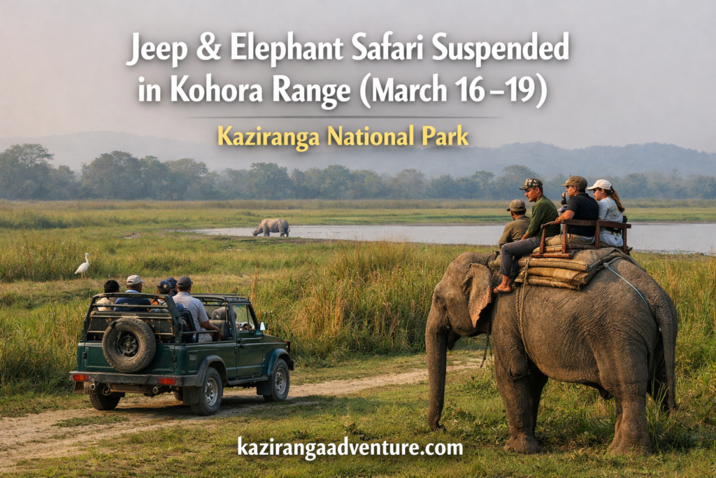 Jeep & Elephant Safari Suspended in Kohora Range