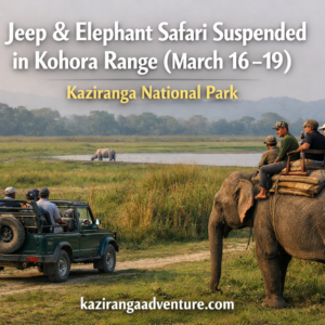 Jeep & Elephant Safari Suspended in Kohora Range