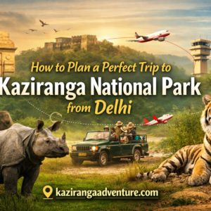 Perfect Trip to Kaziranga National Park from Delhi