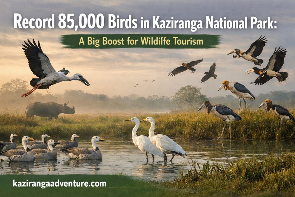 Record 85,000 Birds in Kaziranga National Park: A Big Boost for Wildlife Tourism