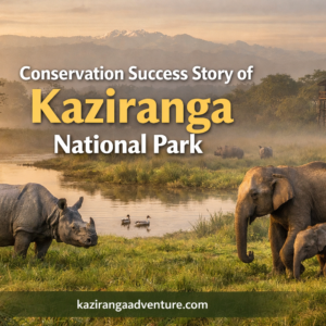 Conservation Success Story of Kaziranga National Park