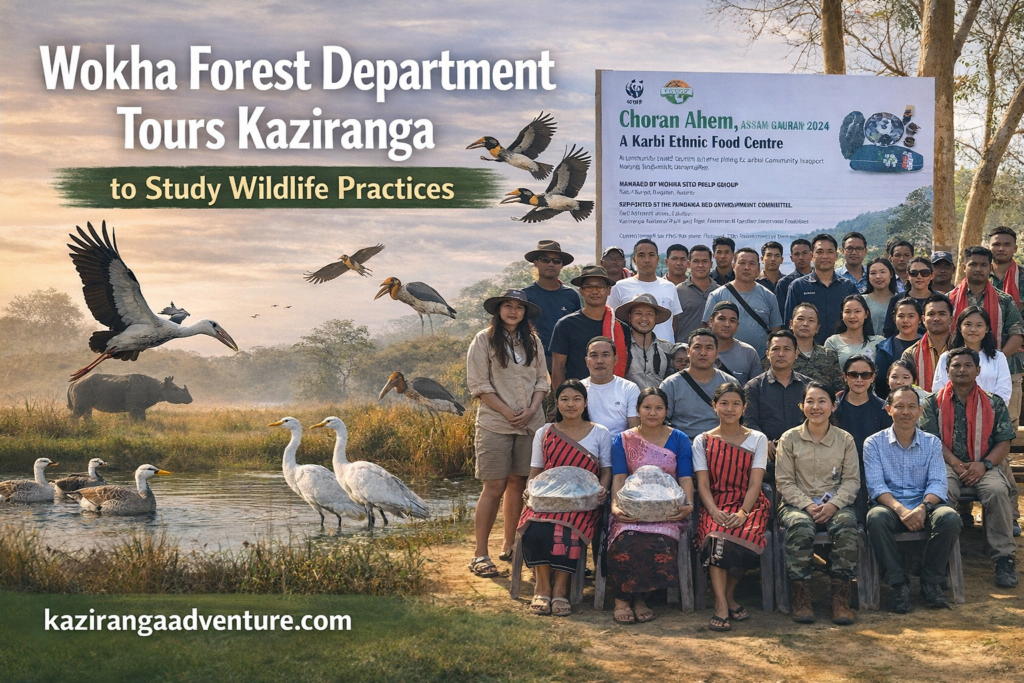 Wokha Forest Department Tours Kaziranga