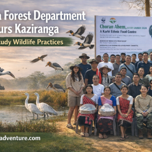 Wokha Forest Department Tours Kaziranga