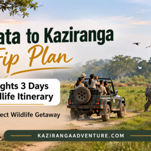 Kolkata to Kaziranga Trip