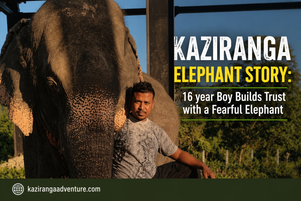 Kaziranga Elephant Story: 16 year Boy Builds Trust with a Fearful Elephant