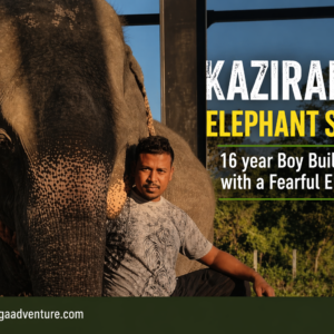 Kaziranga Elephant Story: 16 year Boy Builds Trust with a Fearful Elephant