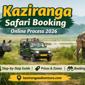 Kaziranga Safari Process
