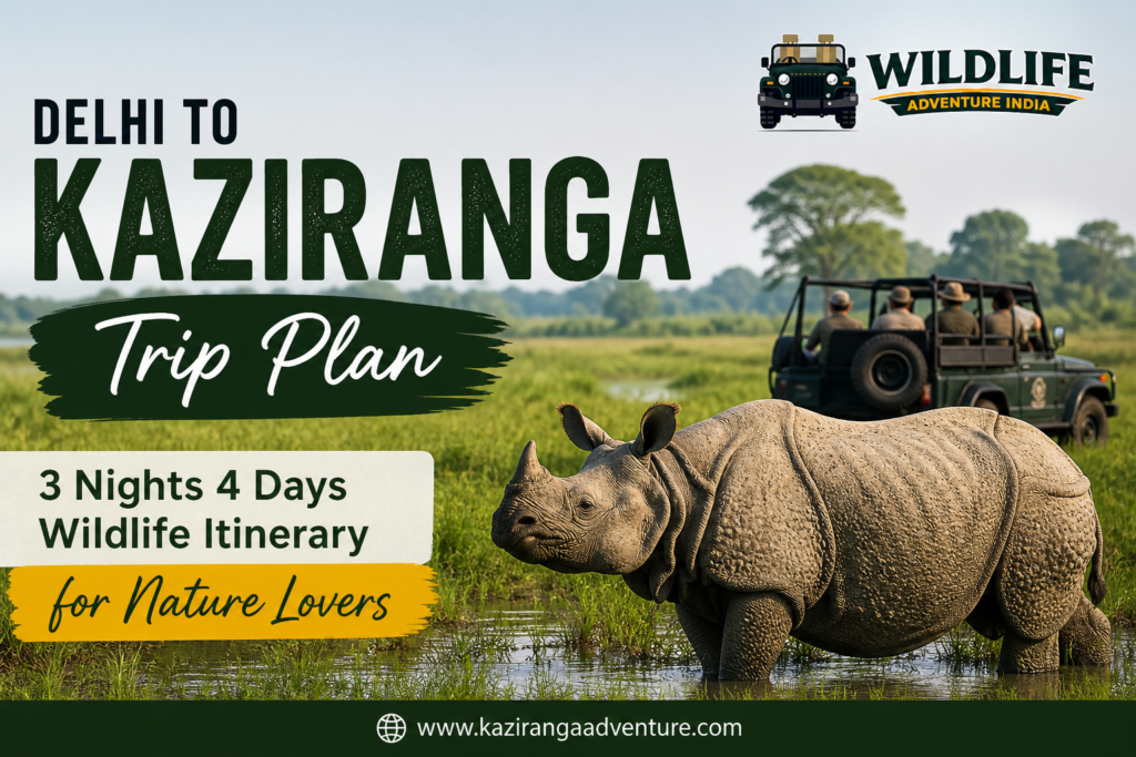 Delhi to Kaziranga Trip Plan: 3 Nights 4 Days
