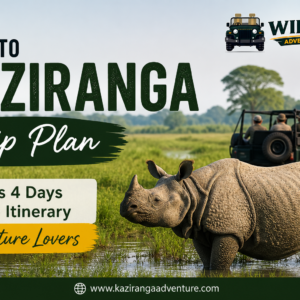 Delhi to Kaziranga Trip Plan: 3 Nights 4 Days