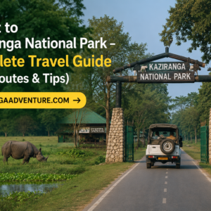 Jorhat to Kaziranga National Park – Complete Travel Guide (Best Routes & Tips)