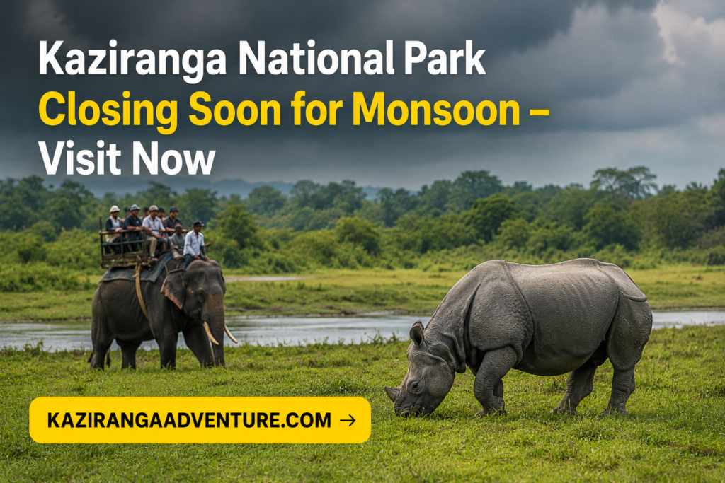 Kaziranga National Park Closing Soon for Monsoon – Visit Now