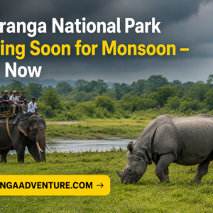 Kaziranga National Park Closing Soon for Monsoon – Visit Now