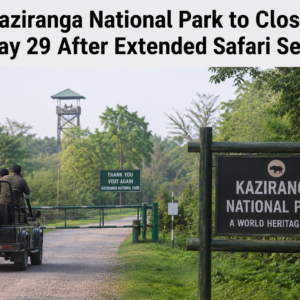 Kaziranga National Park to Close on May 29 After Extended Safari Season