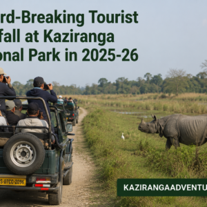 Record-Breaking Tourist Footfall at Kaziranga National Park in 2025-26