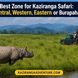 Best Zone for Kaziranga Safari Central, Western, Eastern or Burapahar