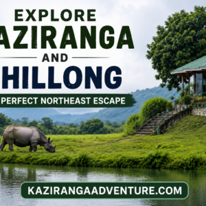 Explore Kaziranga and Shillong The Perfect Northeast Escape 
