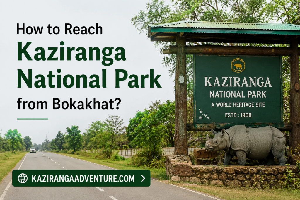 How to Reach Kaziranga National Park from Bokakhat