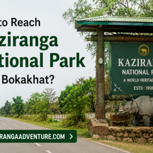 How to Reach Kaziranga National Park from Bokakhat