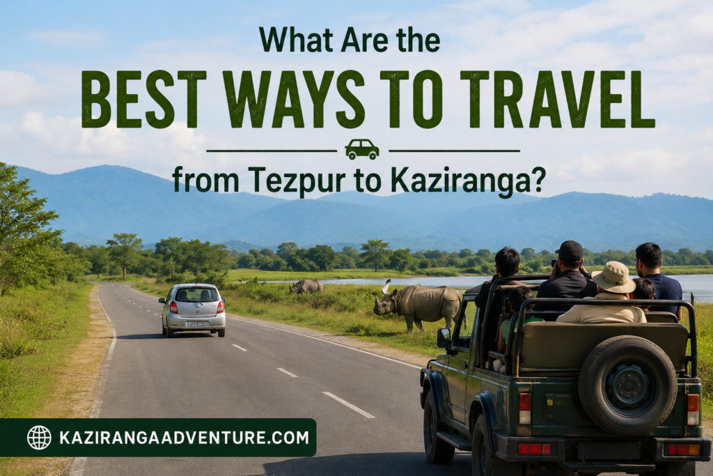 What Are the Best Ways to Travel from Tezpur to Kaziranga