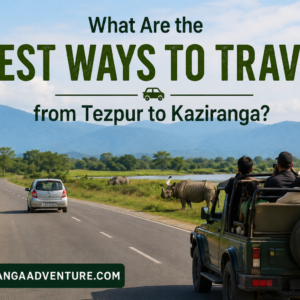 What Are the Best Ways to Travel from Tezpur to Kaziranga