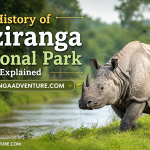 History of Kaziranga National Park Explained