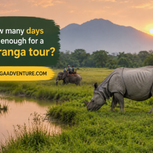 How many days are enough for a Kaziranga tour