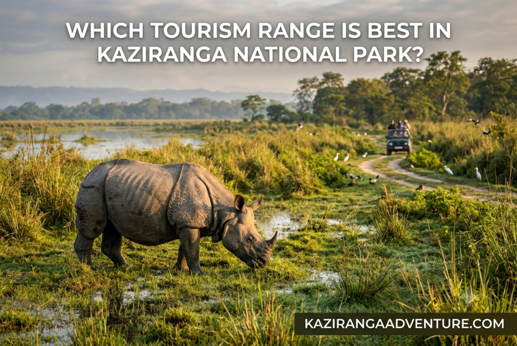 Which tourism range is best in Kaziranga National Park