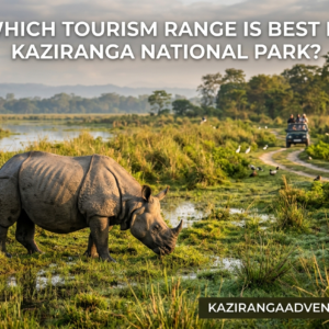 Which tourism range is best in Kaziranga National Park