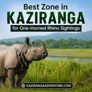 Best Zone in Kaziranga for One-Horned Rhino Sightings