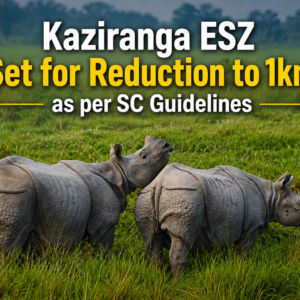 Kaziranga ESZ Set for Reduction to 1km as per SC Guidelines