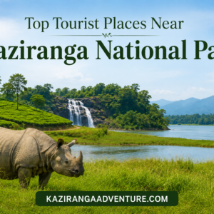 Top Tourist Places Near Kaziranga National Park 