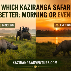 Which Kaziranga Safari Is Better Morning or Evening