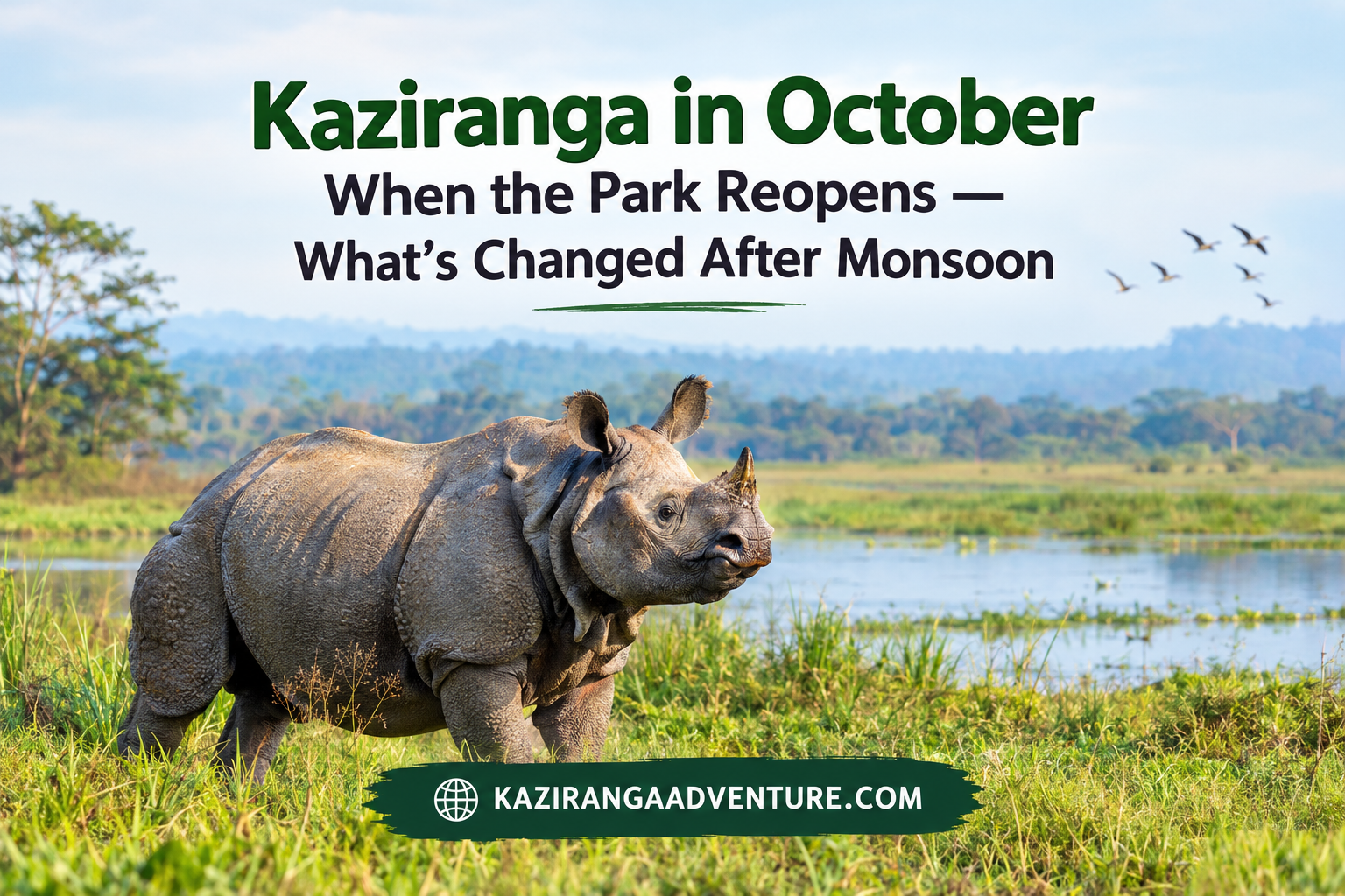 Kaziranga in October: When the Park Reopens — What’s Changed After Monsoon