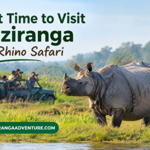 Best Time to Visit Kaziranga for Rhino Safari