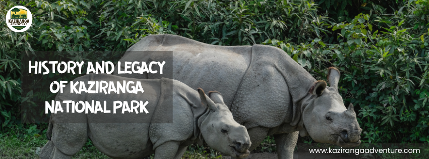 History and Legacy of Kaziranga National Park | Assam’s Pride & UNESCO Heritage