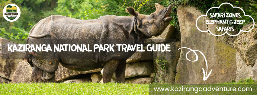 Kaziranga National Park Travel Guide – Safari Zones, Elephant & Jeep Safaris, Packages, Hotels, and Best Visit Times