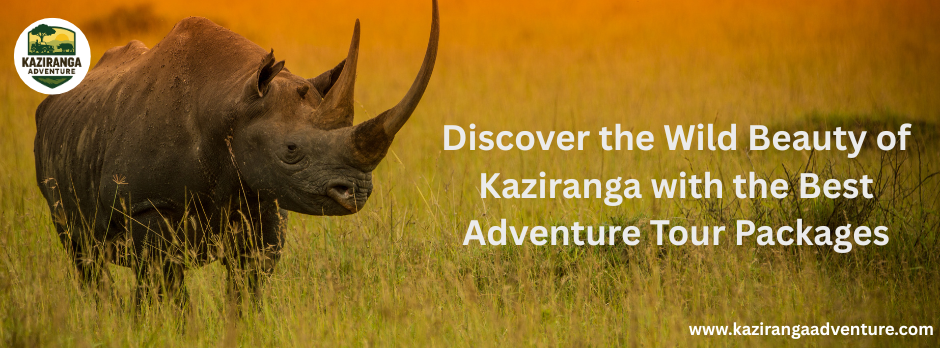 Discover the Wild Beauty of Kaziranga with the Best Adventure Tour Packages