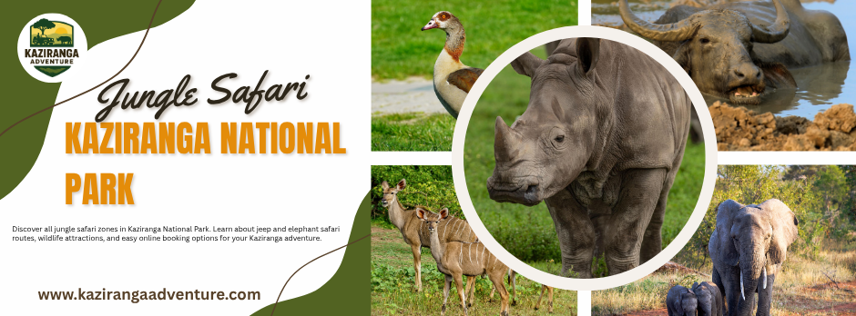 Jungle Safari Zones in Kaziranga National Park