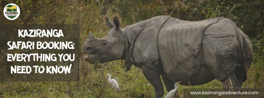 Kaziranga Safari Booking: Everything You Need to Know