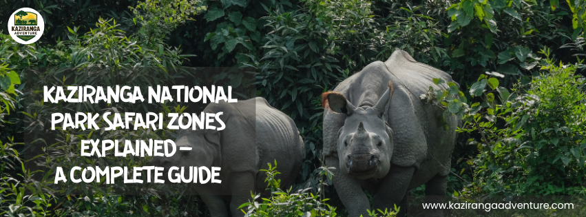 Kaziranga National Park Safari Zones Explained – A Complete Guide